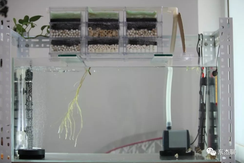 海缸最好的过滤系统,海缸推荐用什么过滤器