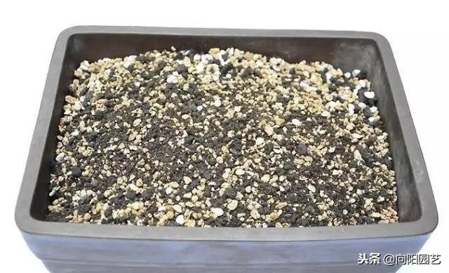 盆景花盆自制,盆景自制教程视频