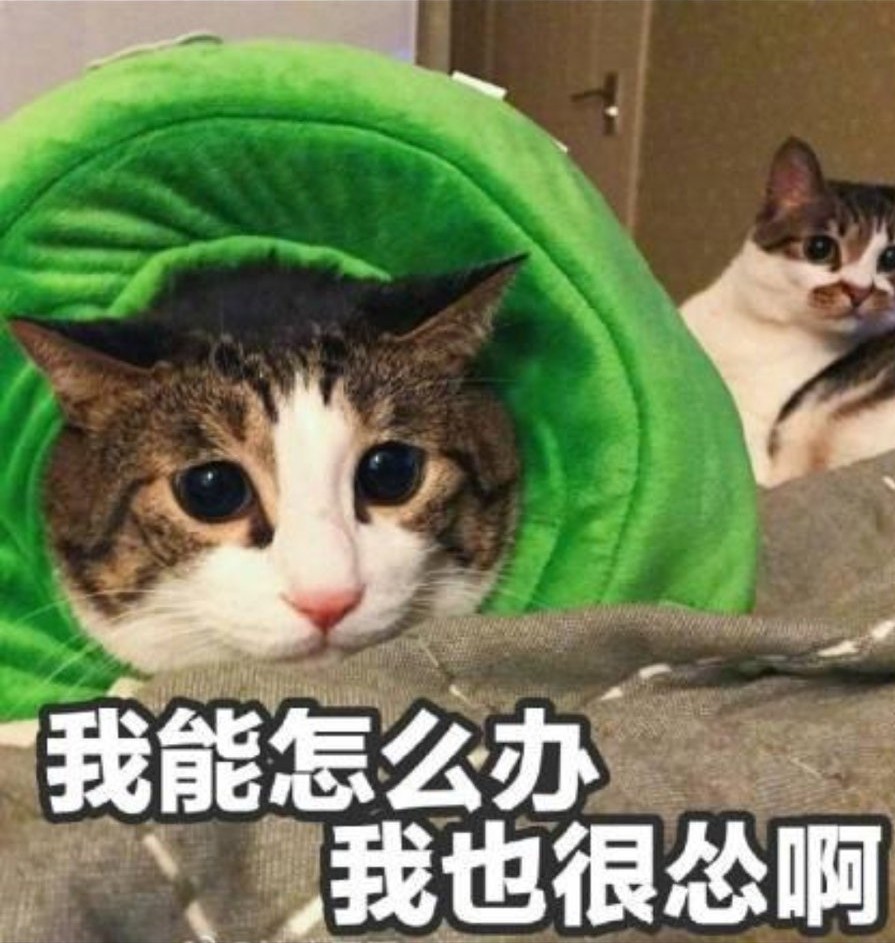 关中方言怂,陕西人说怂的顺口溜