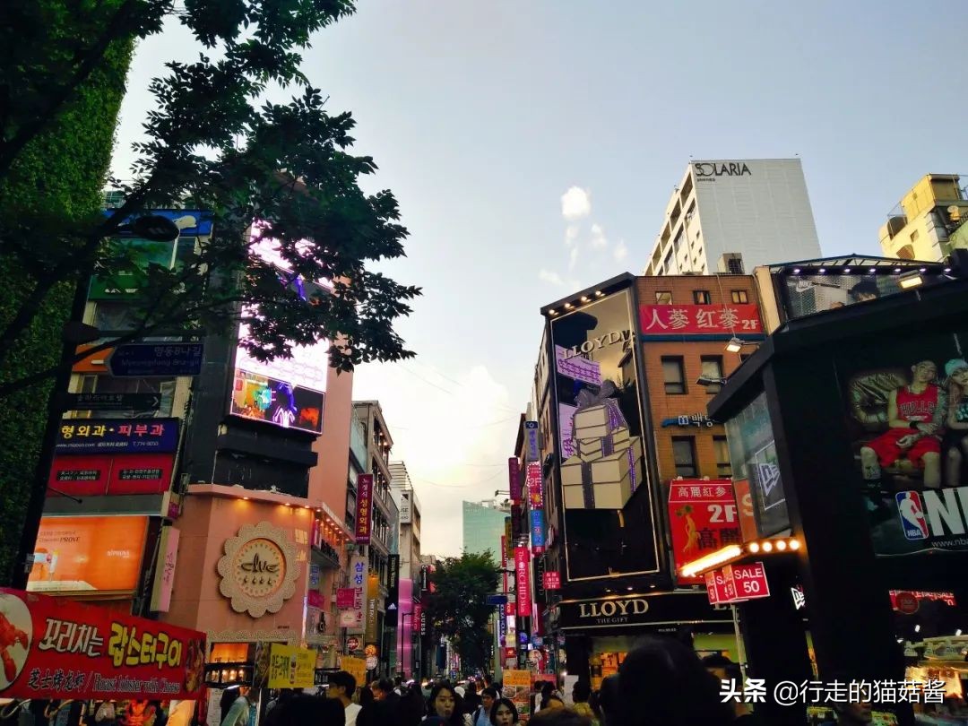 首尔购物退税攻略,首尔必买的10种零食