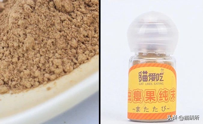 猫咪平替好物推荐,提高猫咪生活质量的几款好物