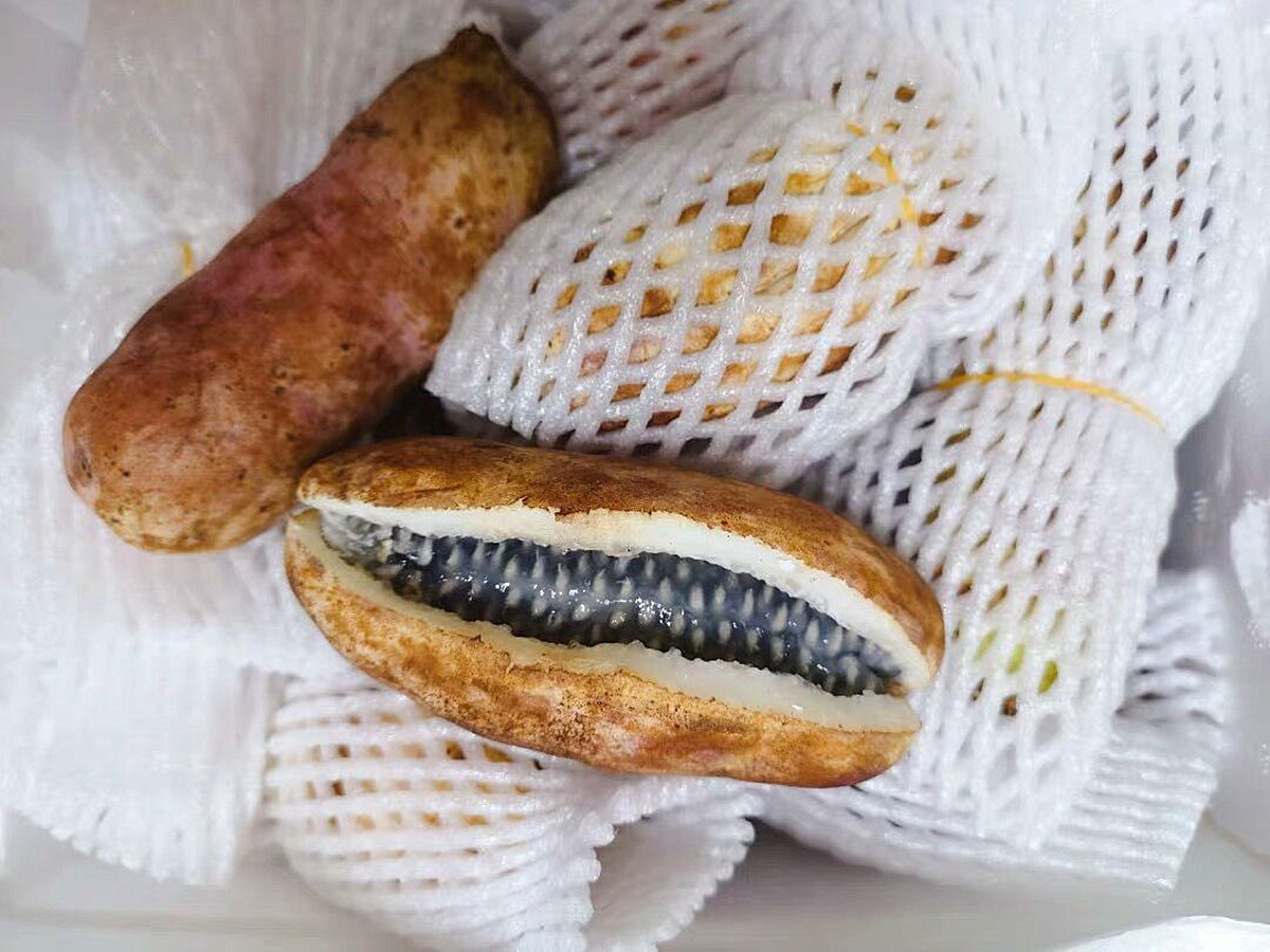 会开裂的水果,成熟会爆开的果子