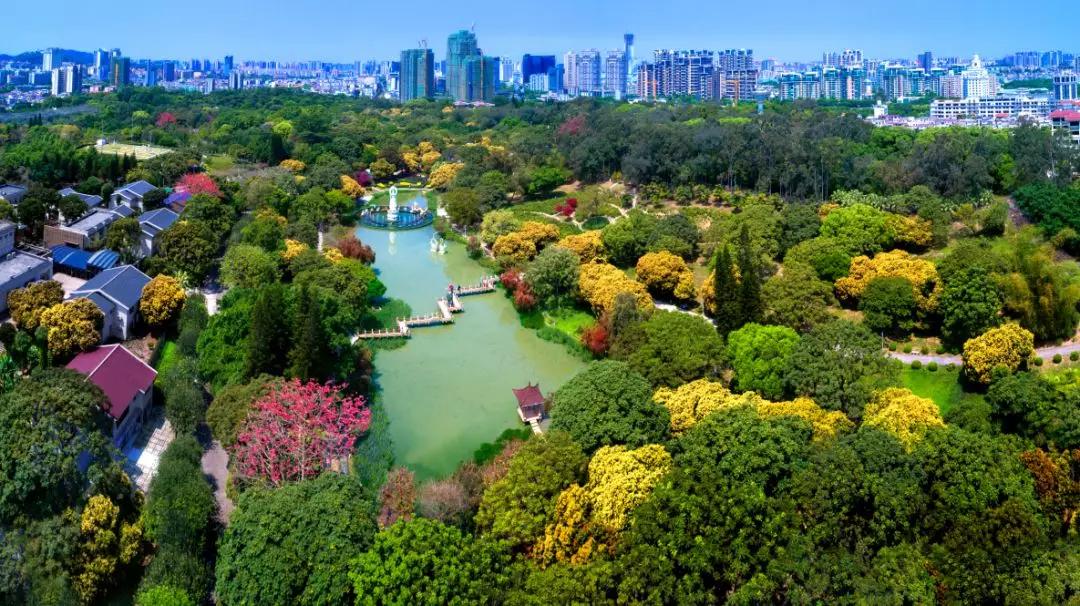 中山风景打卡点,广州秋游野餐好去处