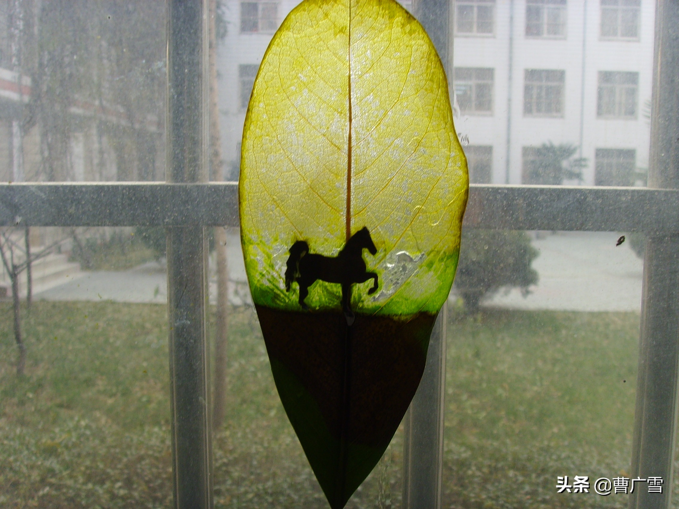 叶脉造型创意画幼儿作品,孩子喜欢的儿童创意画教程6-7岁