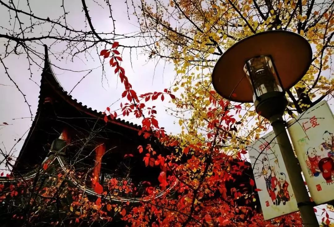 上海可以一路玩下来的地铁线,上海最新41条地铁