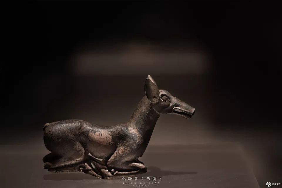 一起去博物馆发现古老的神器,陕西历史博物馆游览全攻略