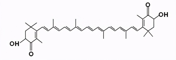 微藻的生物应用前景与展望,微藻产业化关键技术有哪些