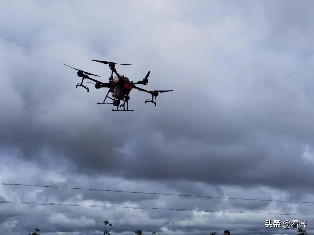 齐齐哈尔依安县水稻良种场,齐齐哈尔水稻种植基地