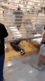 开售仅2分钟就被一抢而空！一件印花短袖居然可以12小时涨价6倍？