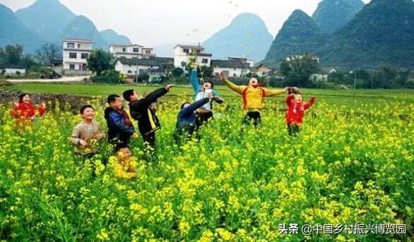 乡村振兴产业方面存在的问题,乡村振兴最有前景九大产业