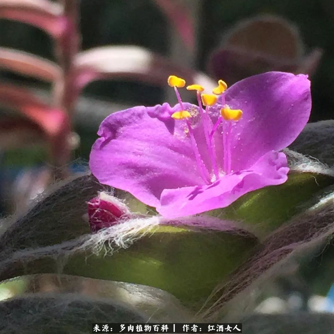 记录走过的美景留下美好的回忆,记录走过的每一段美好时光