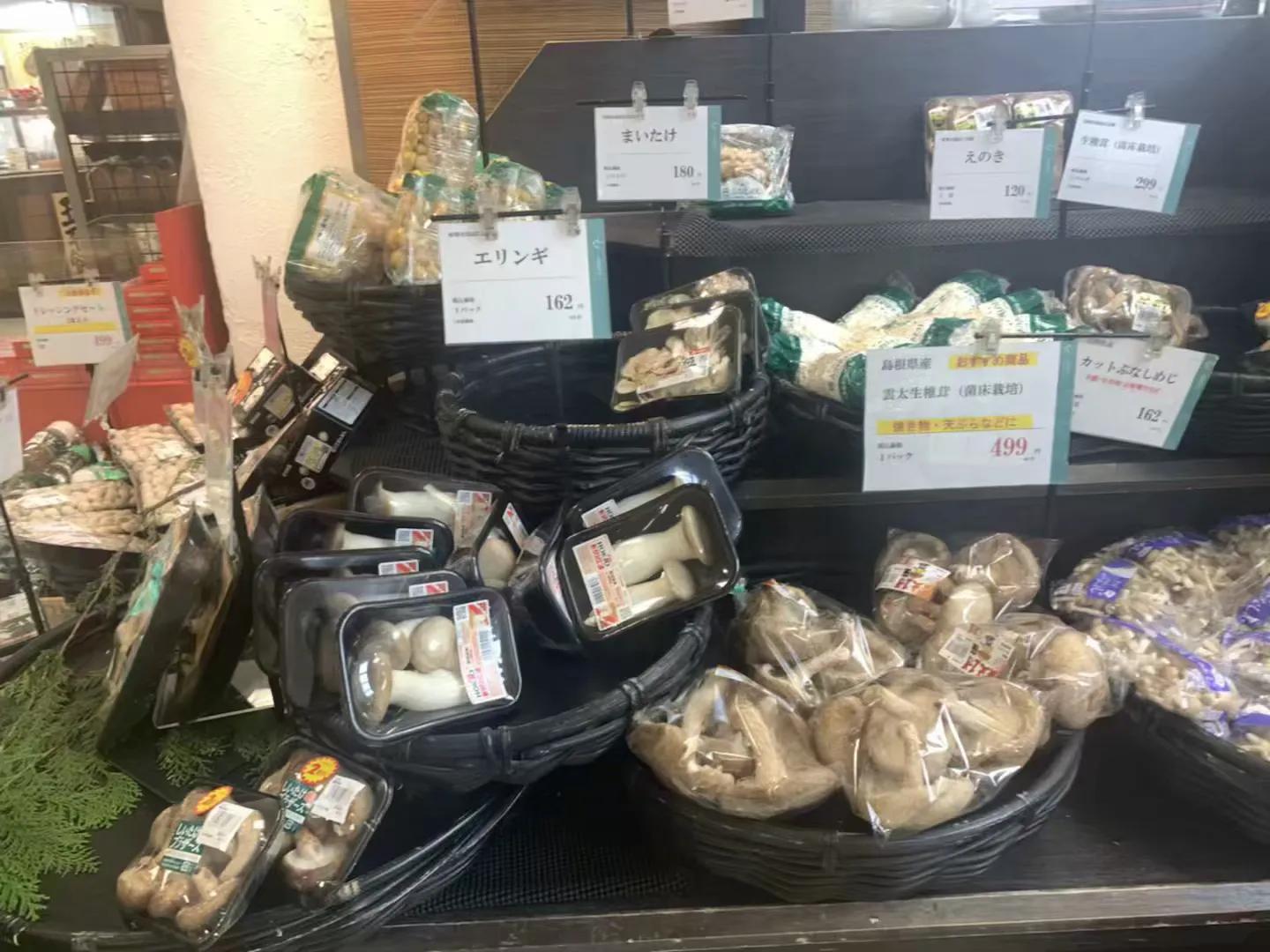 日本名古屋景点玩乐,日本名古屋旅游必需品