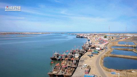 来乐亭，尝秋天的第一口“鲜”儿