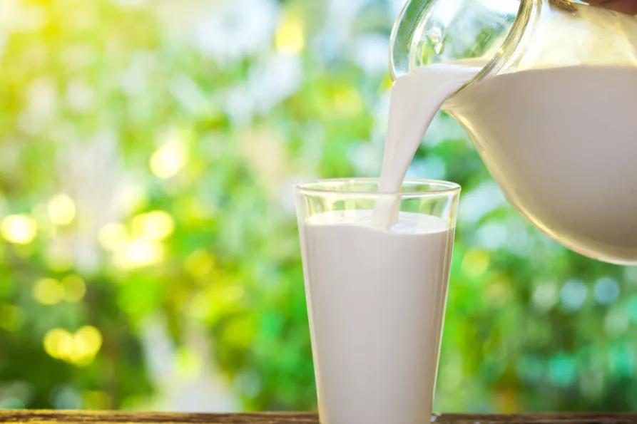 全国哪的纯奶最好喝,好喝的纯奶排行榜前十名