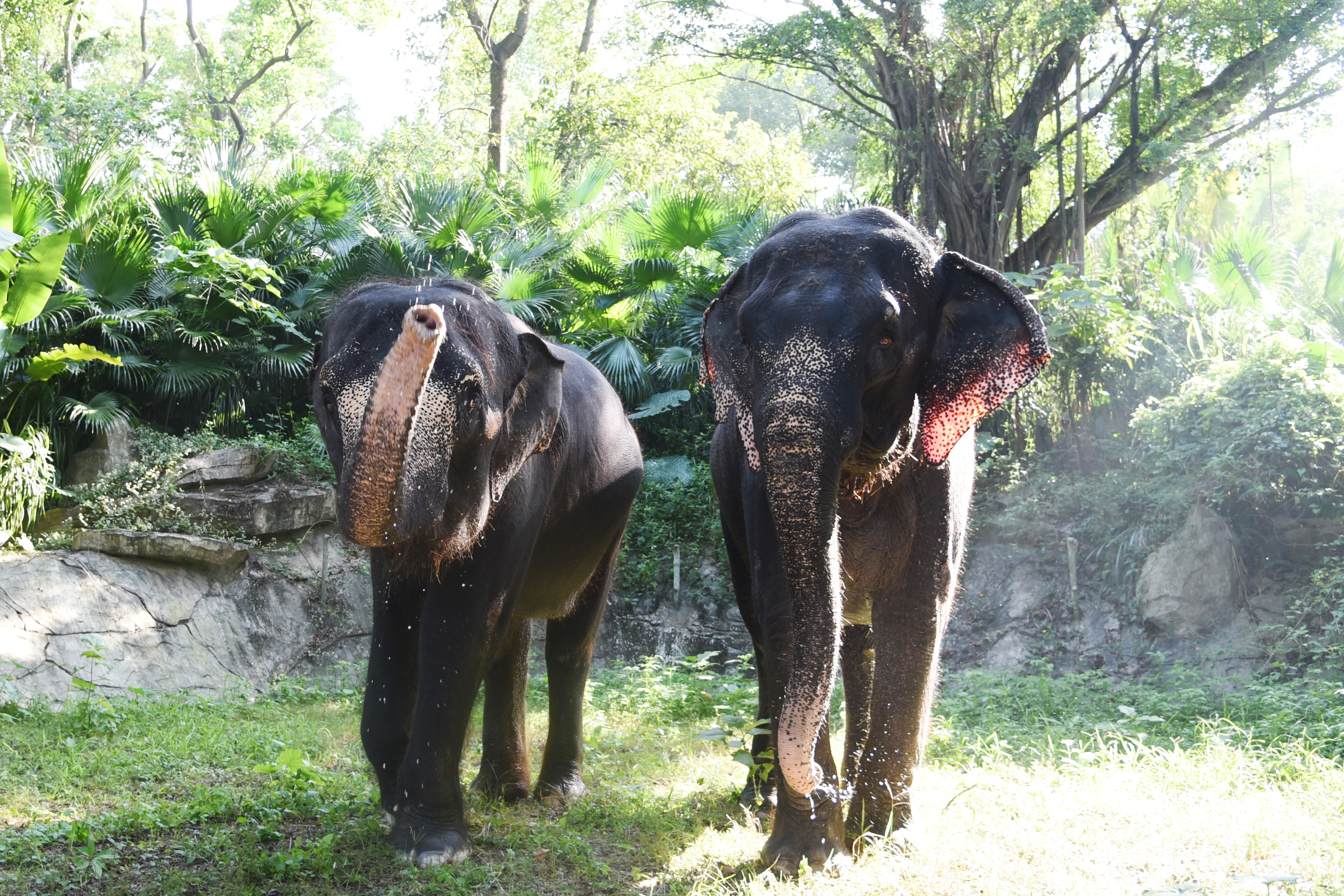 五一黄金周景区促销方案,五一旅游必看的10个项目