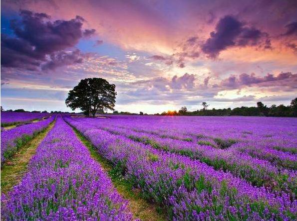 郑州白天哪里好玩适合情侣的,在郑州情侣适合去哪种地方游玩