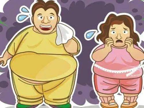 左旋肉碱的危害到底有多大,带你全面了解左旋肉碱