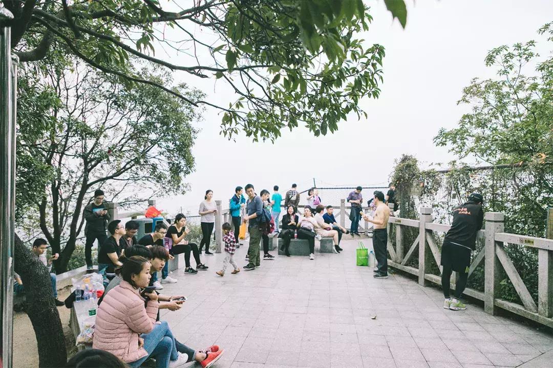 深圳这座城市很美,深圳这座城市风景太美了