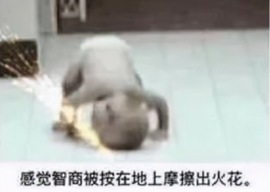 用你的视频号“薅”微信流量，这个灰产太野了