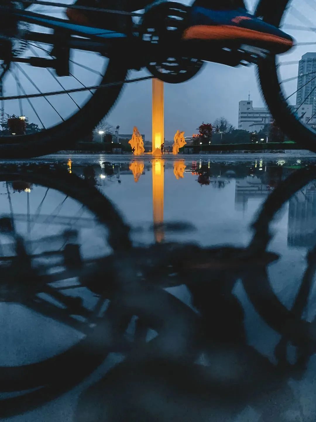 大家用手机拍出过什么好看的照片,赞别人的照片拍摄得好的句子