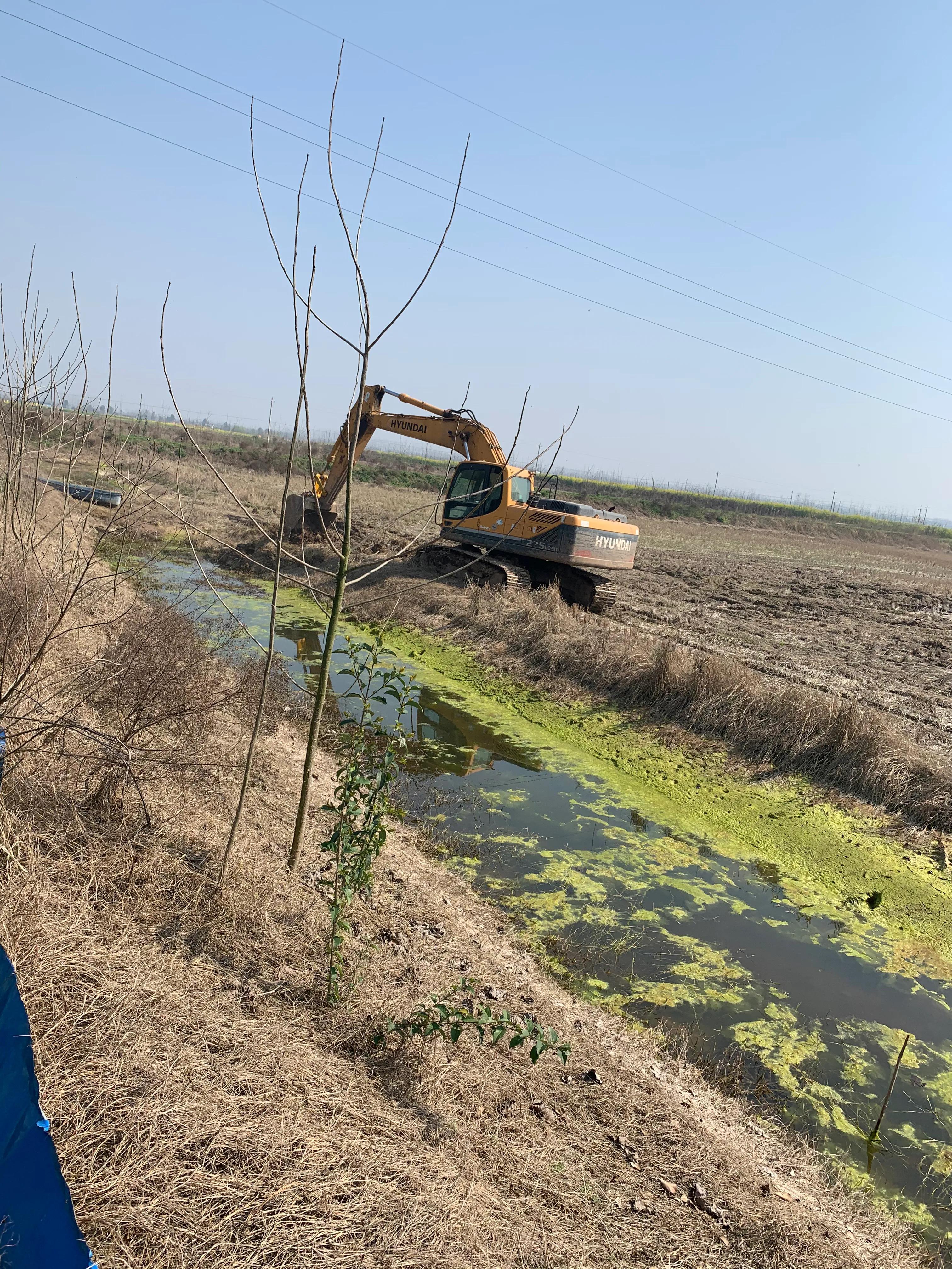 目前小龙虾养殖的前景如何,未来的小龙虾养殖前景