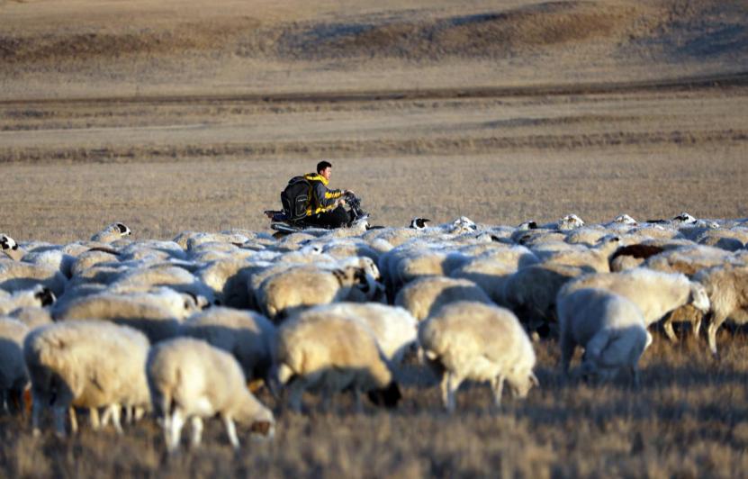 草原上的快递小哥,苏宁火箭小哥