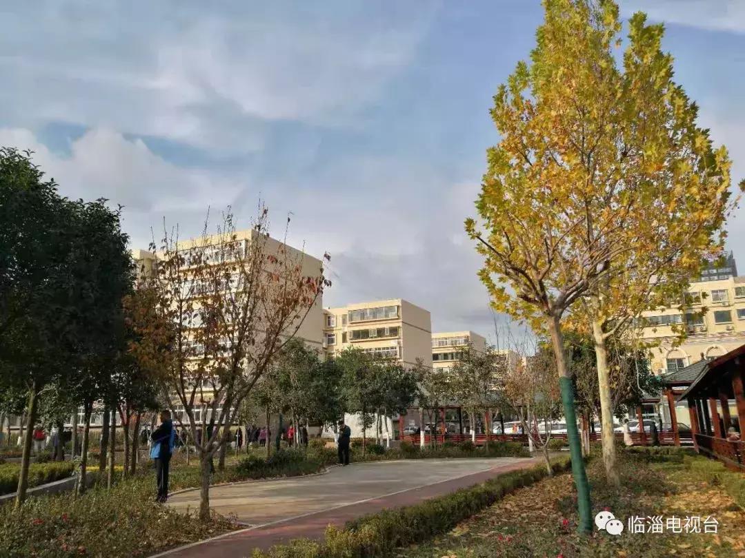 淄博市经济社会发展现场观摩点评,2020年度淄博市经济社会发展