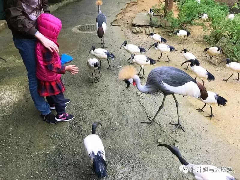 冲绳奥武山公园滑梯,冲绳旅游攻略自由行最新