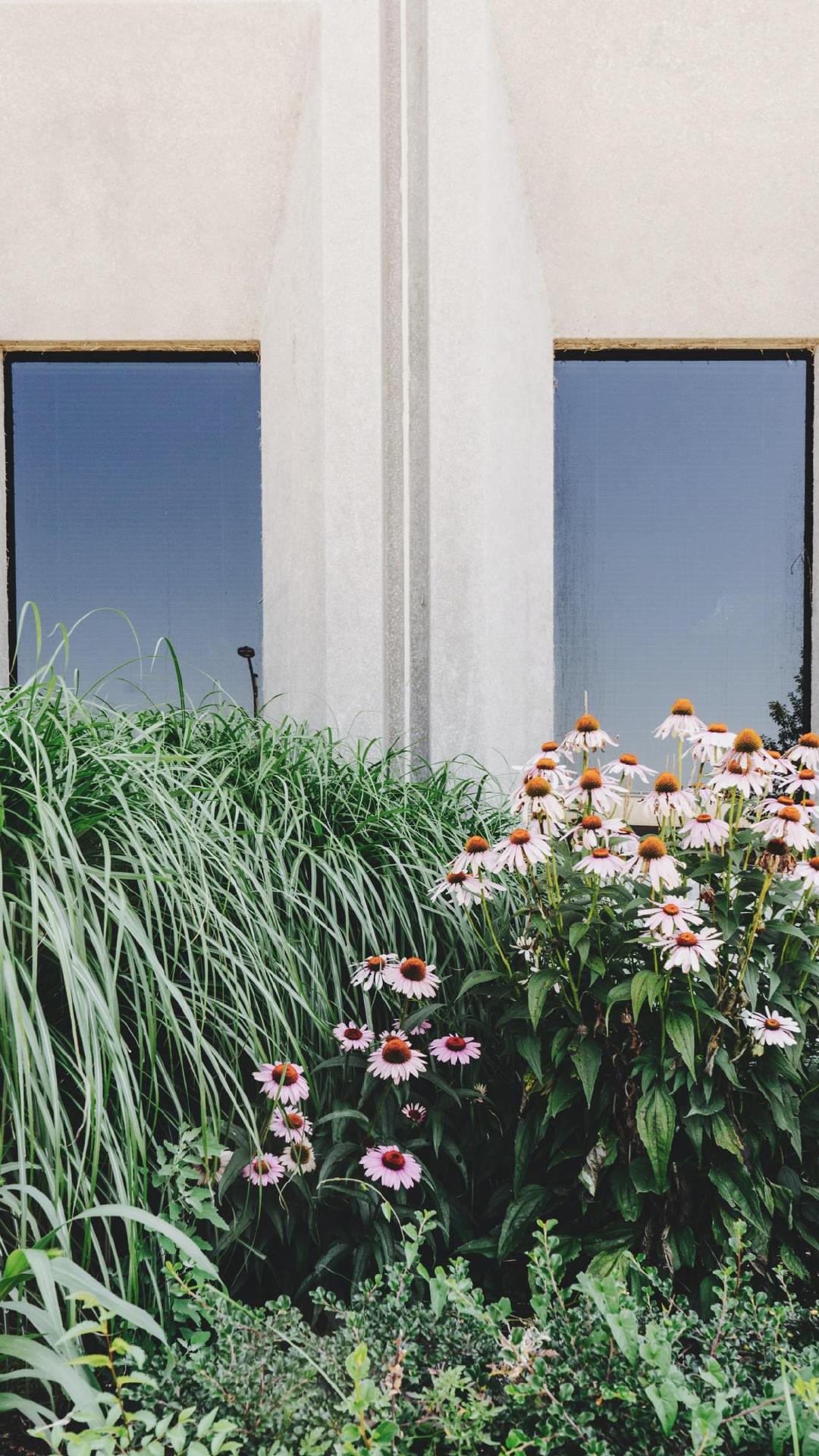 我终于一无所有了谁也不理谁了,我终于一人孤独到老了完整版