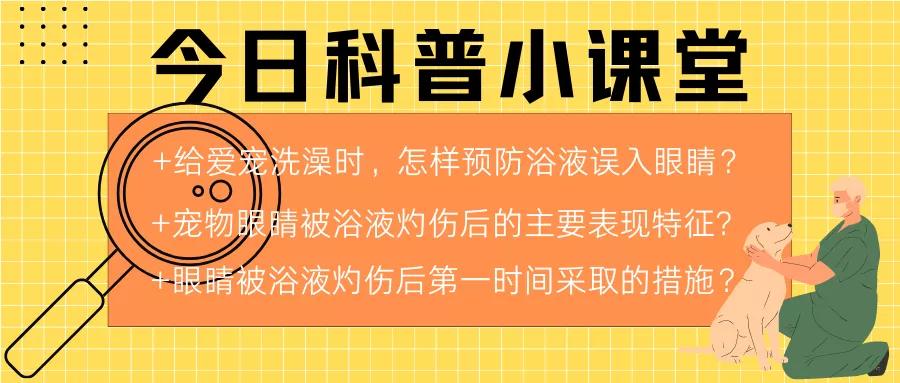 宠物洗澡怎么防止弄到眼睛,宠物浴液进眼睛