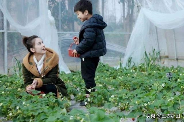 农村创业好项目投资少见效快,农村无需投资的创业项目