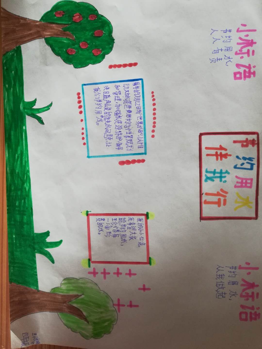 世界水日教育活动简讯,世界水日小学活动