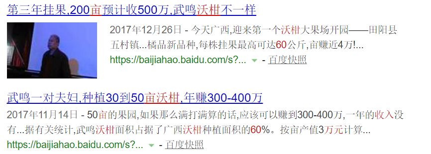 家里没有沃柑，不准娶我女儿？沃柑到底是有多赚钱？