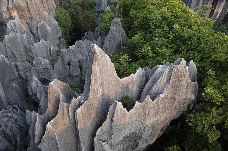 去云南人生感悟,来到云南才知道什么是云