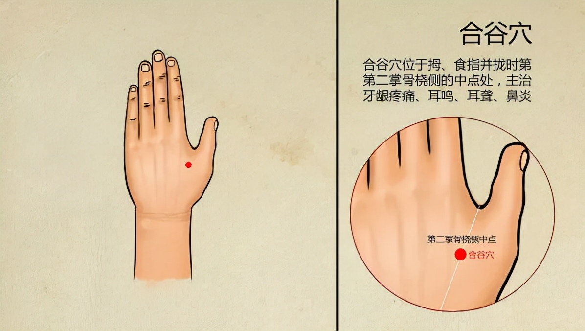 治疗支气管咳喘中草药,针灸治疗支气管炎处方