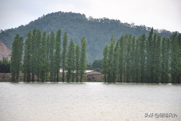 珠海竹洲水松林，意外发现的珠中江“SB”界碑，究竟作何解释？