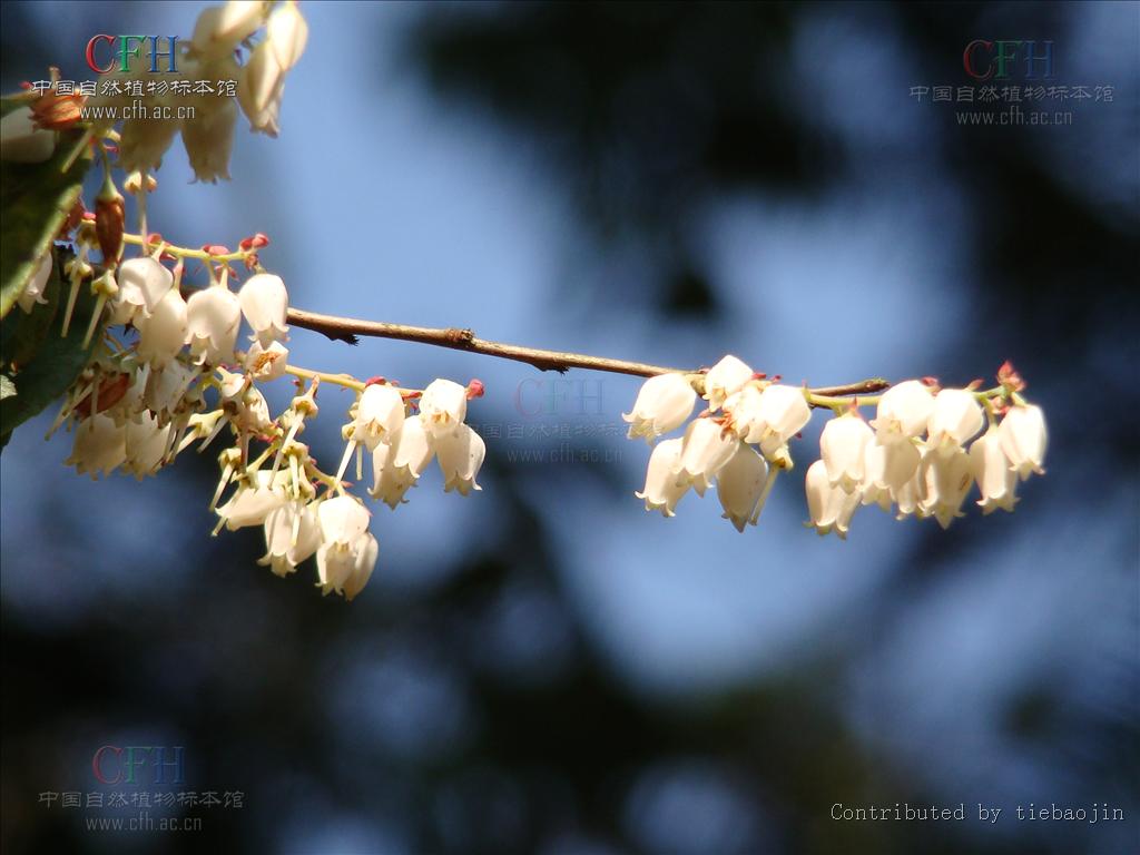 原谅我知识浅薄,原谅我知识浅薄这什么意思