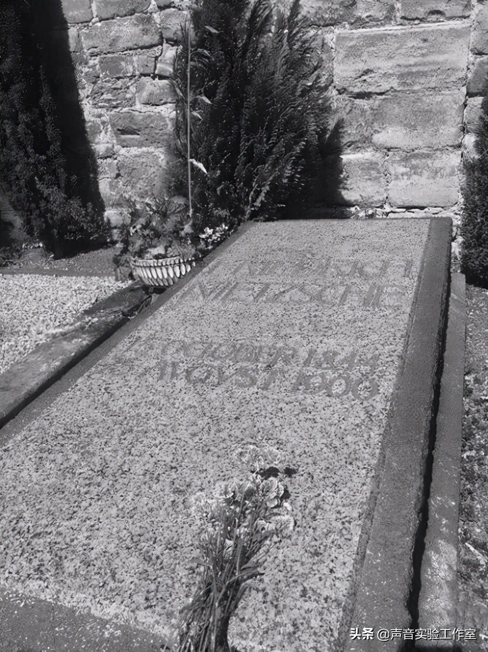 德国尼采简介,德国尼采的故事