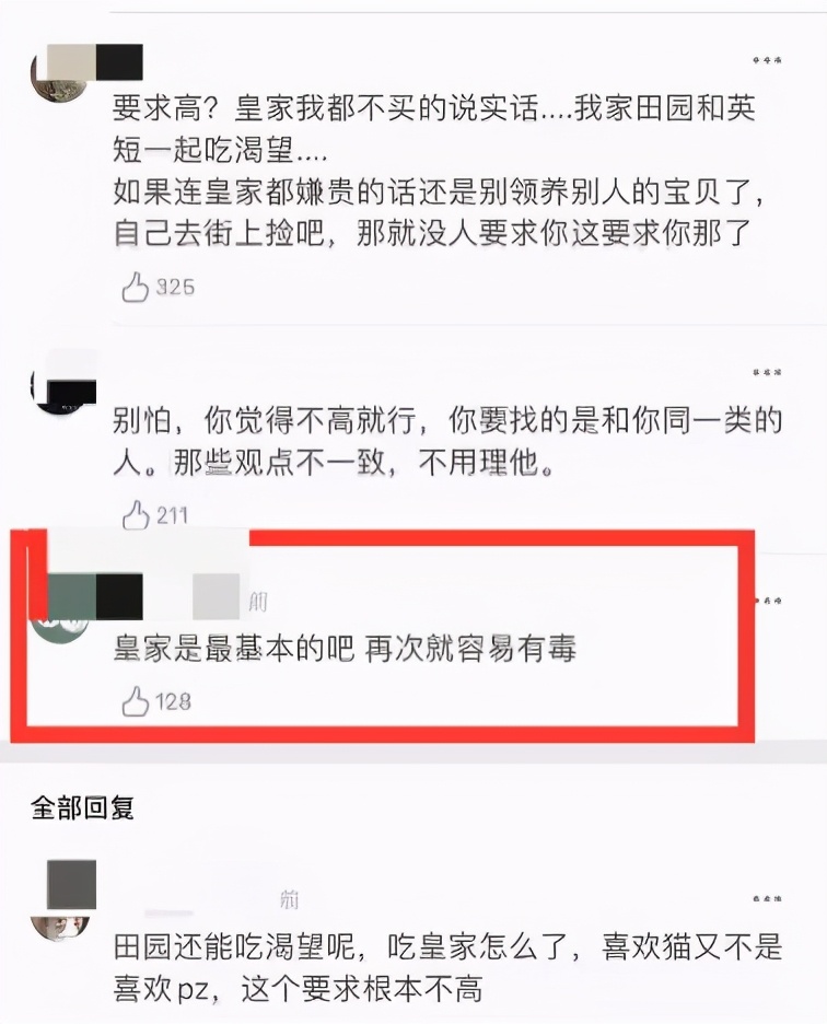 本以为养猫是为了不孤单,以为单身就可以自由
