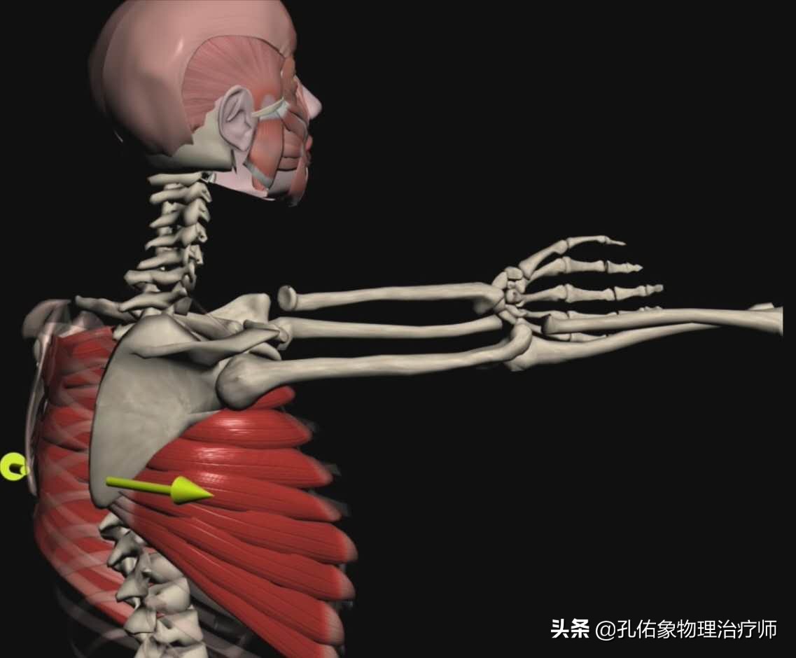 肩颈颈椎痛怎么缓解最快最有效,颈椎病最怕的5个症状