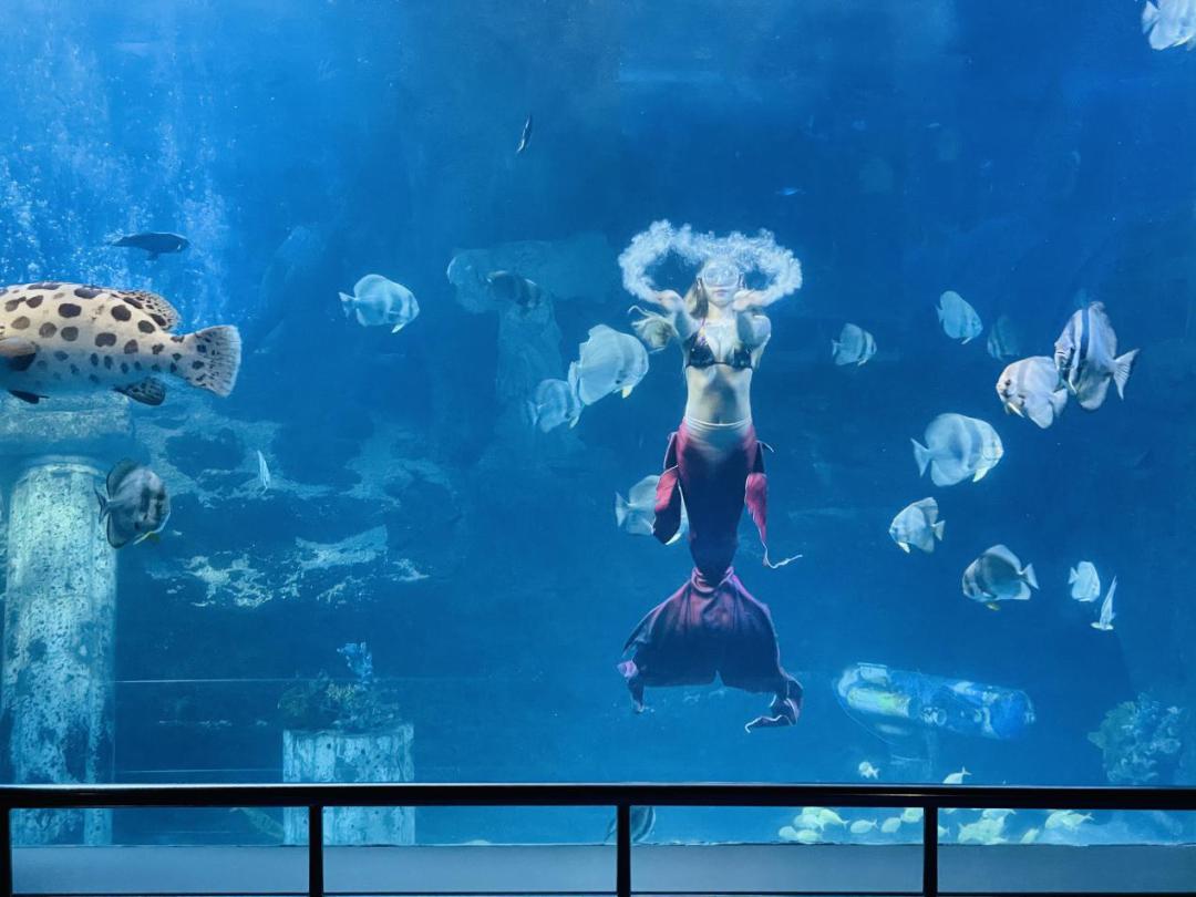 海洋馆奇妙夜,海洋馆探索海洋世界