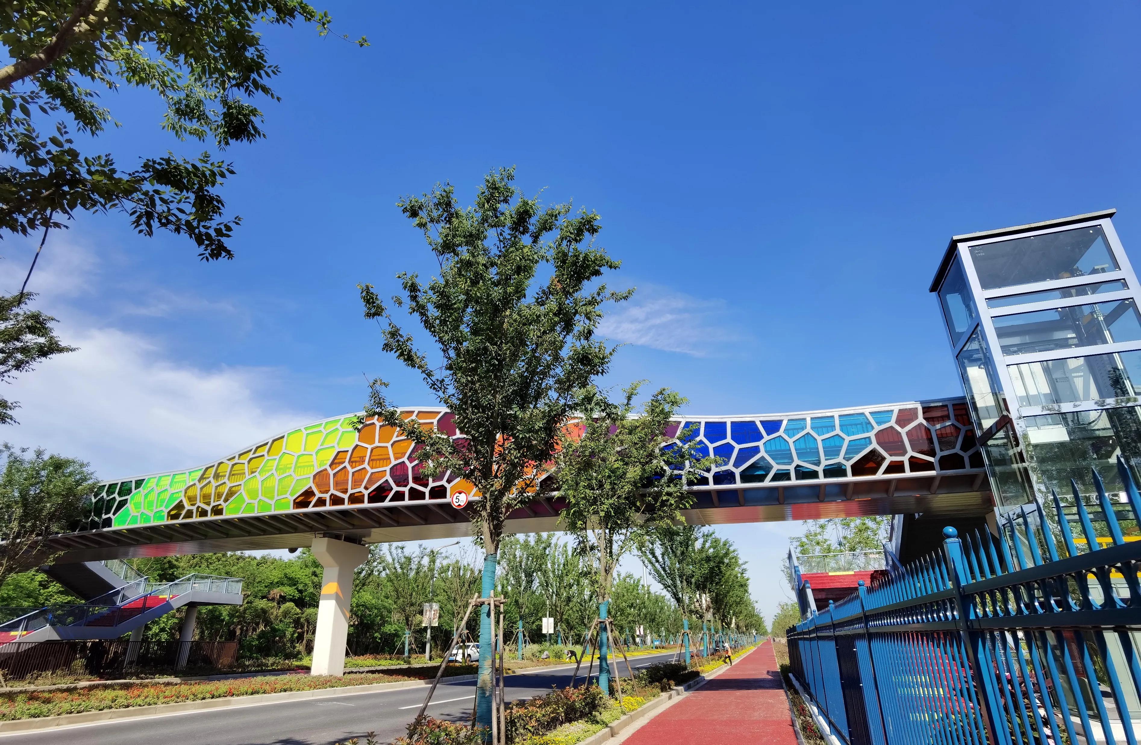 关于崇明花博会,崇明花博会全程花景