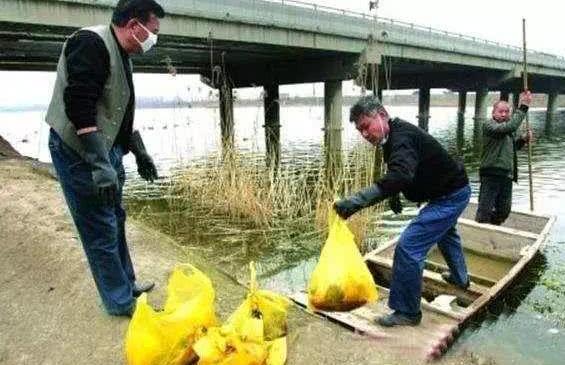人工流产的胎儿最后去哪了,人工流产胎儿去哪了