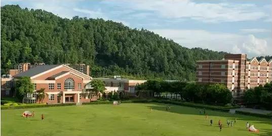 国际学校会有哪些特色活动,国际学校的课外活动有多精彩