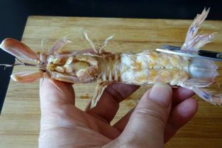 海边人教你皮皮虾的正宗吃法如何,这个季节皮皮虾非常鲜美
