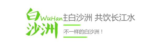 洪山区白沙洲有几所小学,白沙洲新建洪山实验小学实验中学