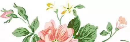 宿吉南老师讲课视频在哪里能找到,宿吉南直播课