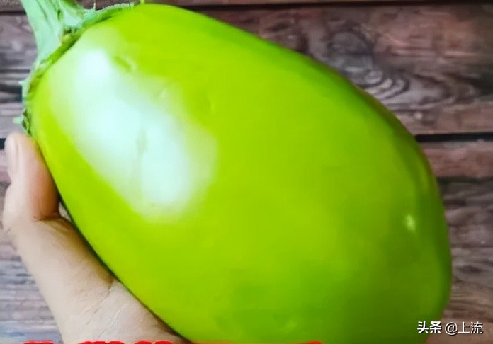 东北菜只有在东北才分量大,东北菜才是分子料理的祖宗