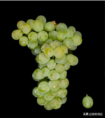 黄葡萄酒好坏鉴别,白葡萄酒分什么种类