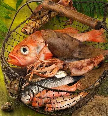 章鱼墨鱼鱿鱼该怎么分清呢,章鱼鱿鱼乌贼怎么分类